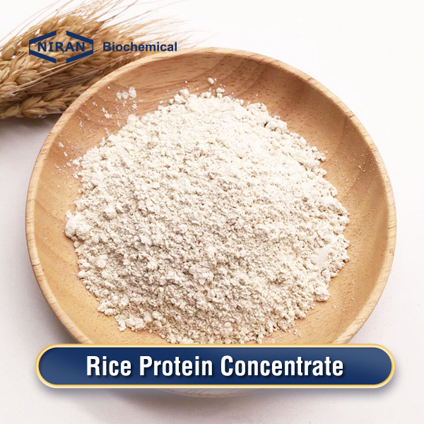 Rice Protein Concentrate