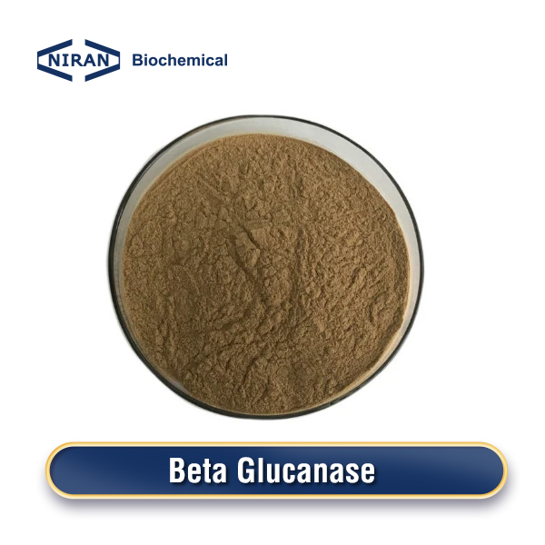 Beta Glucanase / β - Glucanase