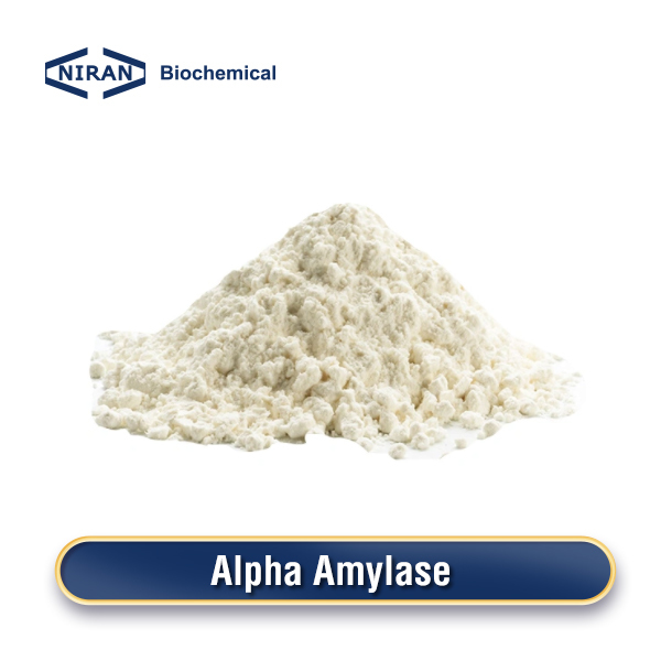 Alpha Amylase