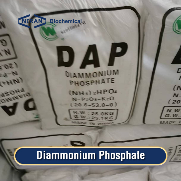 DAP(diammonium phosphate)